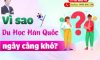 Du học Hàn – Cập nhật THÔNG TIN mới nhất – Du học Hàn Quốc 2022